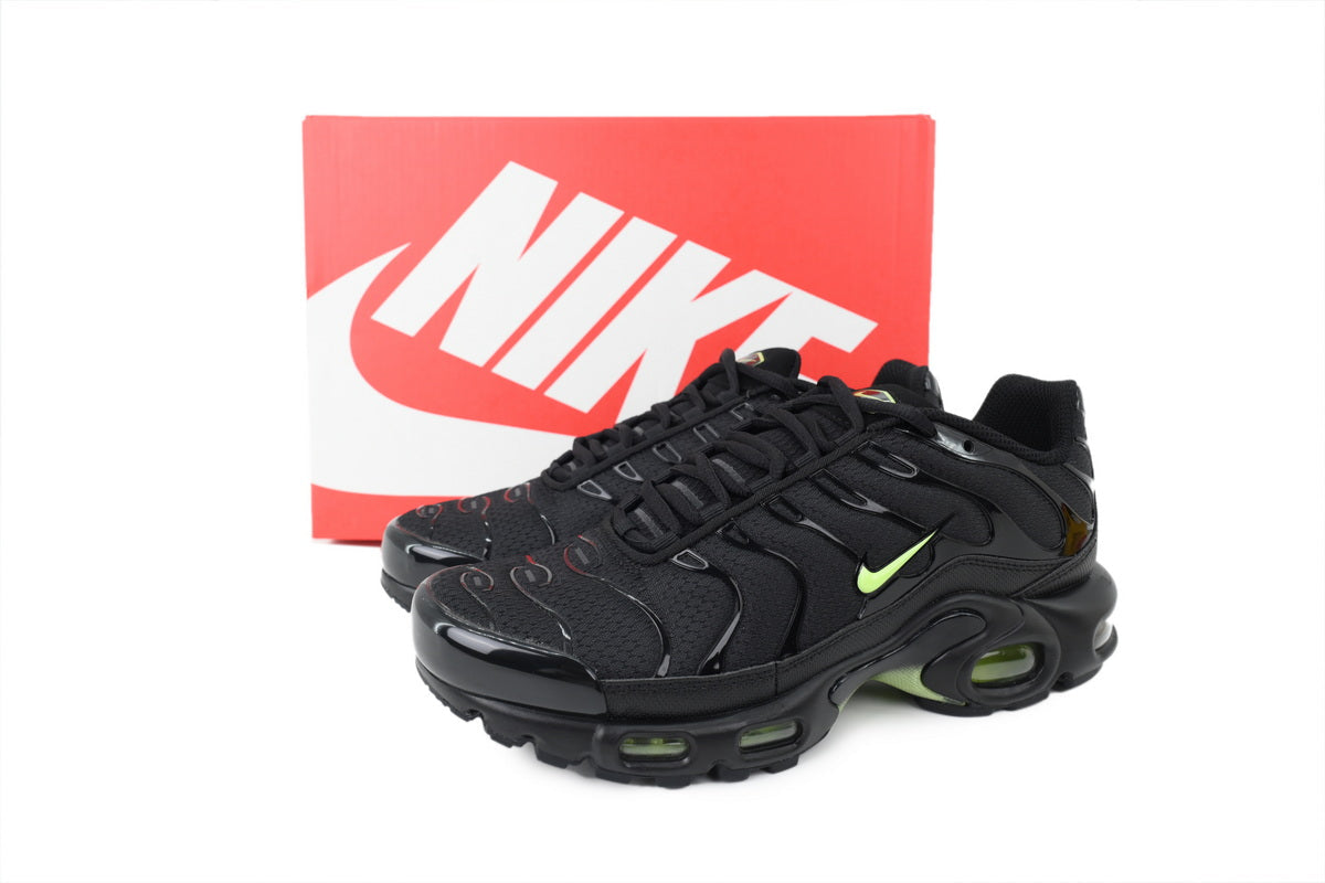Nike Air Max Plus Sneakers | EU 39–47.5